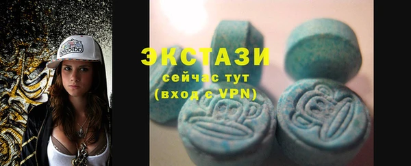 твердый Протвино