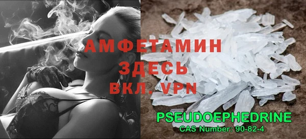 твердый Протвино