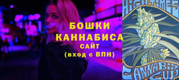 твердый Протвино